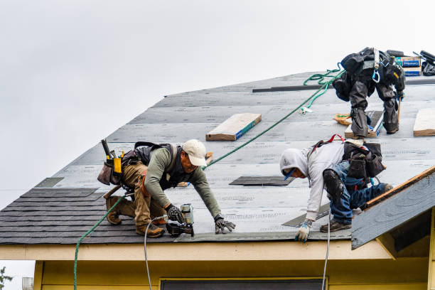 Professional Roofing technician working in Cambridge, IL